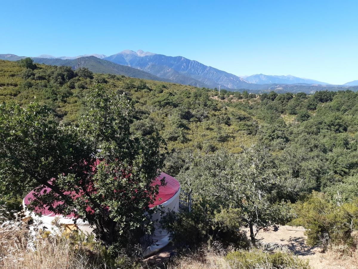 Yourte Contemporaine Avec Magnifique Vue Sur Les Montagnes Rigarda Zewnętrze zdjęcie